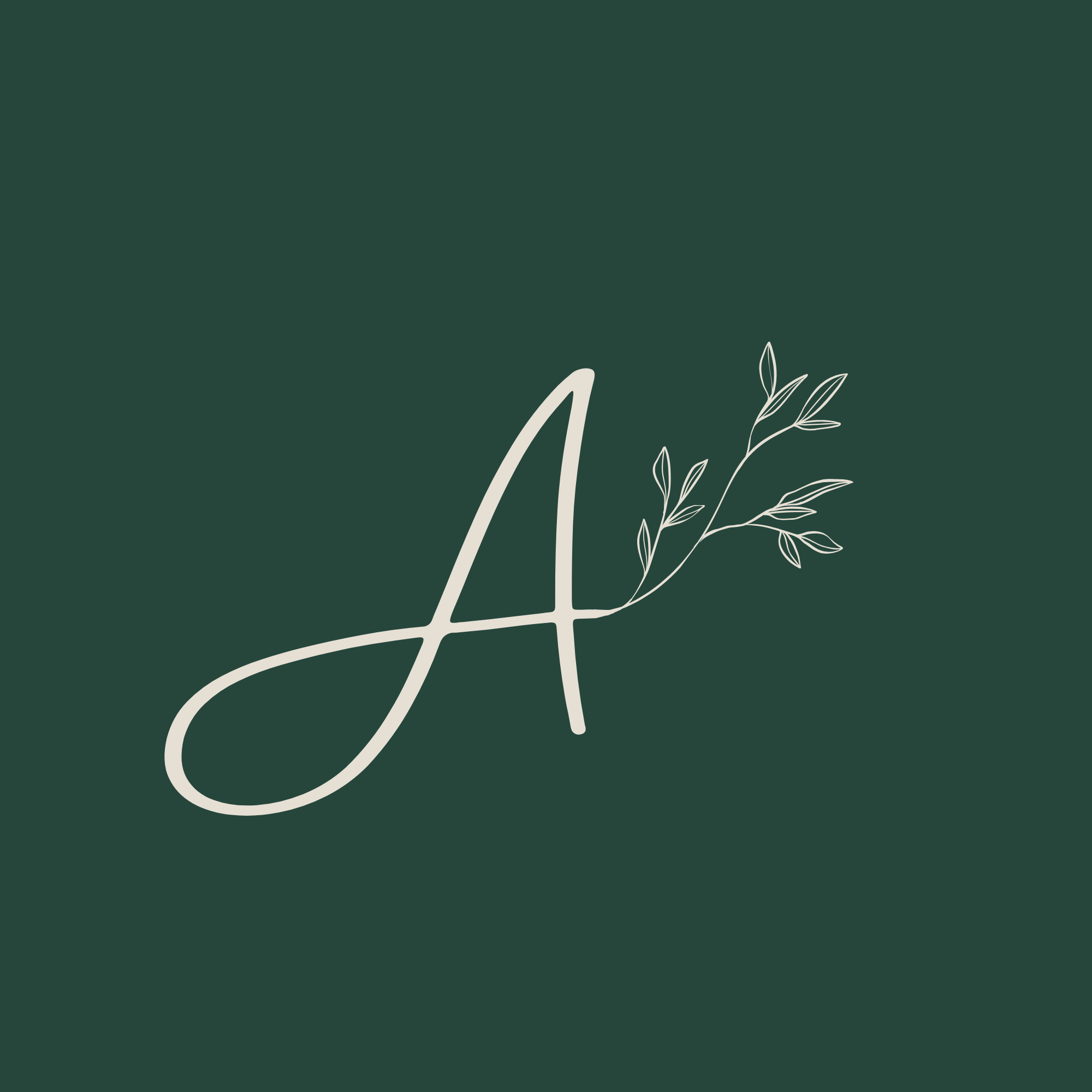 Alinas Digitalstudio